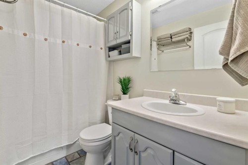 37 Erin Woods Place Se, Calgary, AB - Indoor Photo Showing Bathroom