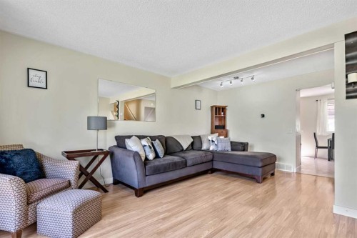 37 Erin Woods Place Se, Calgary, AB - Indoor Photo Showing Living Room