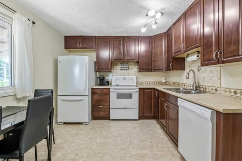 37 Erin Woods Place Se, Calgary, AB - Indoor Photo Showing Kitchen With Double Sink
