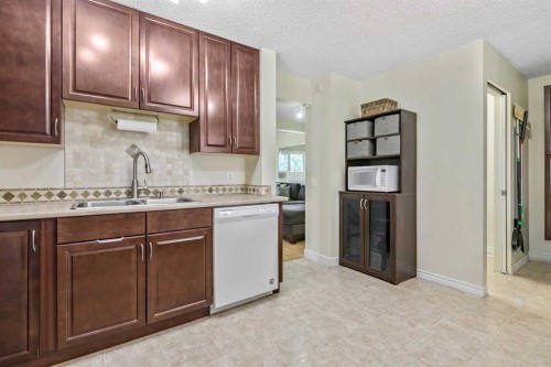 37 Erin Woods Place Se, Calgary, AB - Indoor Photo Showing Kitchen With Double Sink