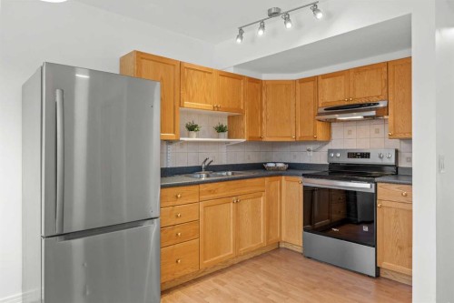 605-6223 31 Avenue Nw, Calgary, AB - Indoor Photo Showing Kitchen With Double Sink