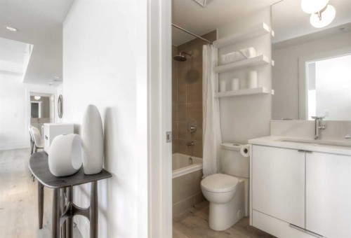 807-46 9 Street Ne, Calgary, AB - Indoor Photo Showing Bathroom