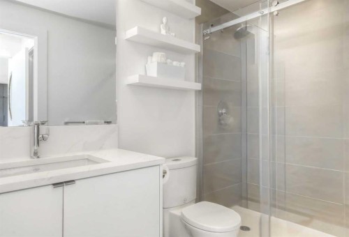 807-46 9 Street Ne, Calgary, AB - Indoor Photo Showing Bathroom