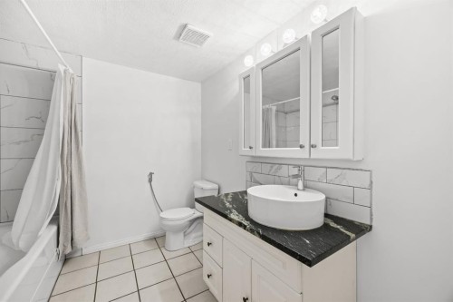28 Templegreen Bay Ne, Calgary, AB - Indoor Photo Showing Bathroom