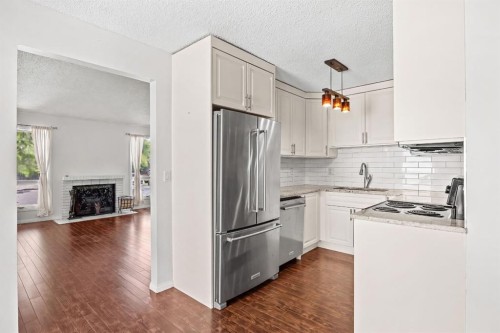 28 Templegreen Bay Ne, Calgary, AB - Indoor Photo Showing Kitchen With Stainless Steel Kitchen With Upgraded Kitchen