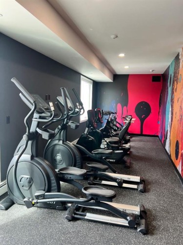 2110-265 Wolf Willow Boulevard Se, Calgary, AB - Indoor Photo Showing Gym Room