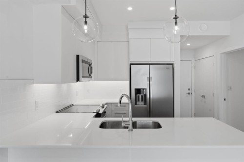 2110-265 Wolf Willow Boulevard Se, Calgary, AB - Indoor Photo Showing Kitchen With Double Sink With Upgraded Kitchen