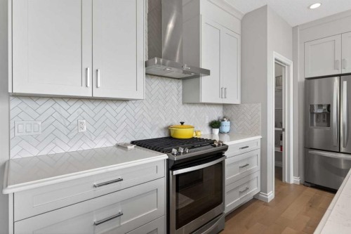 73 Rockyvale Green Nw, Calgary, AB - Indoor Photo Showing Kitchen With Stainless Steel Kitchen With Upgraded Kitchen