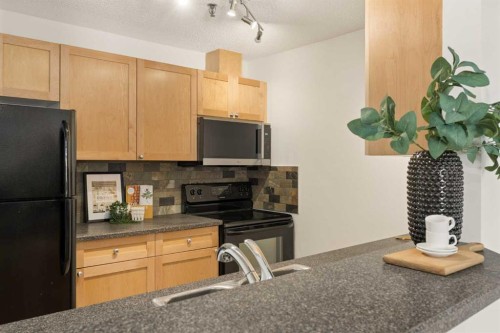 101-930 18 Avenue Sw, Calgary, AB - Indoor Photo Showing Kitchen