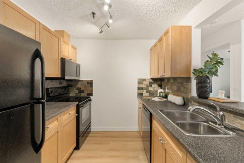 101-930 18 Avenue Sw, Calgary, AB - Indoor Photo Showing Kitchen With Double Sink