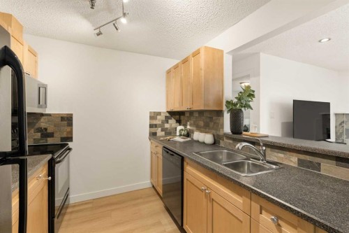 101-930 18 Avenue Sw, Calgary, AB - Indoor Photo Showing Kitchen With Double Sink