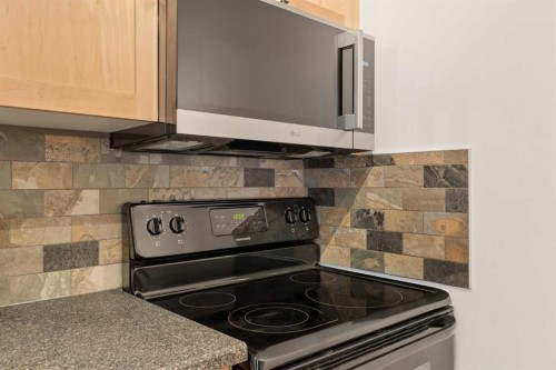 101-930 18 Avenue Sw, Calgary, AB - Indoor Photo Showing Kitchen