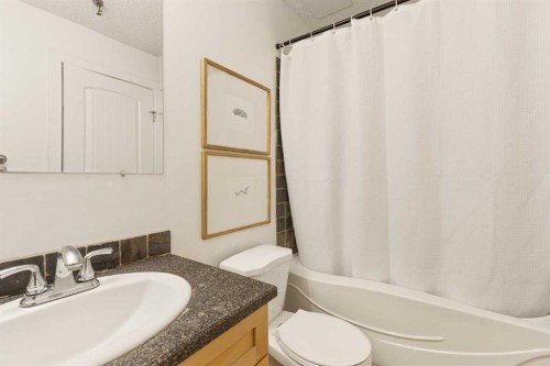 101-930 18 Avenue Sw, Calgary, AB - Indoor Photo Showing Bathroom