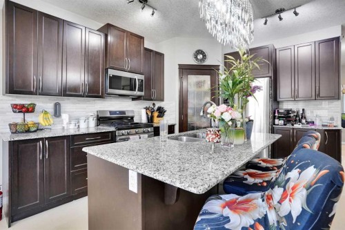 1239 Brightoncrest Green Se, Calgary, AB - Indoor Photo Showing Kitchen With Double Sink With Upgraded Kitchen