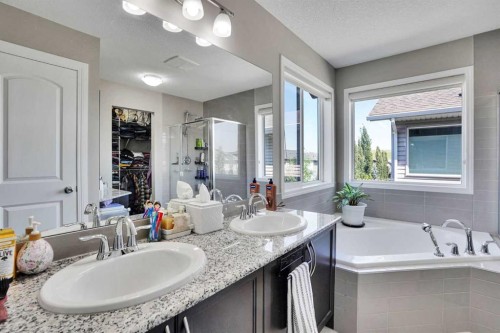 1239 Brightoncrest Green Se, Calgary, AB - Indoor Photo Showing Bathroom