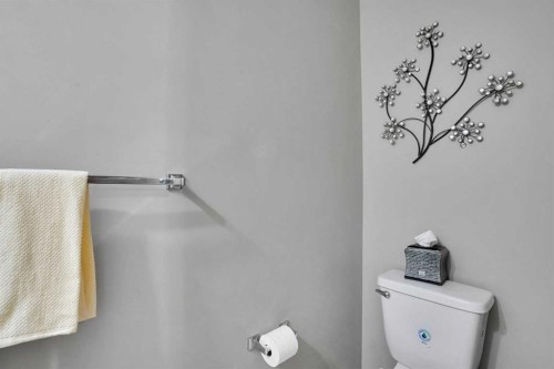 1239 Brightoncrest Green Se, Calgary, AB - Indoor Photo Showing Bathroom