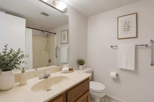 401-145 Point Drive Nw, Calgary, AB - Indoor Photo Showing Bathroom