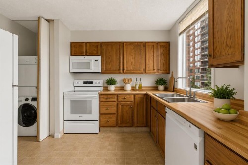 401-145 Point Drive Nw, Calgary, AB - Indoor Photo Showing Kitchen With Double Sink