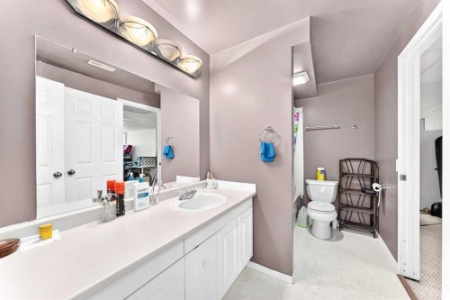 96 Covington Court Ne, Calgary, AB - Indoor Photo Showing Bathroom