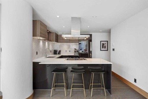 701-738 1 Avenue Sw, Calgary, AB - Indoor Photo Showing Kitchen With Upgraded Kitchen