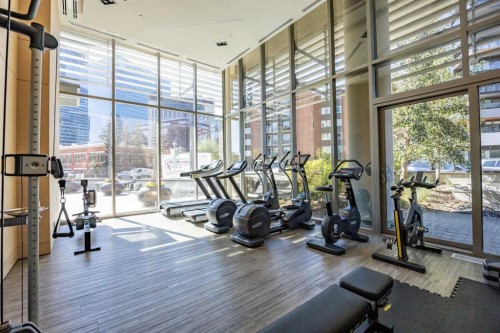 701-738 1 Avenue Sw, Calgary, AB - Indoor Photo Showing Gym Room