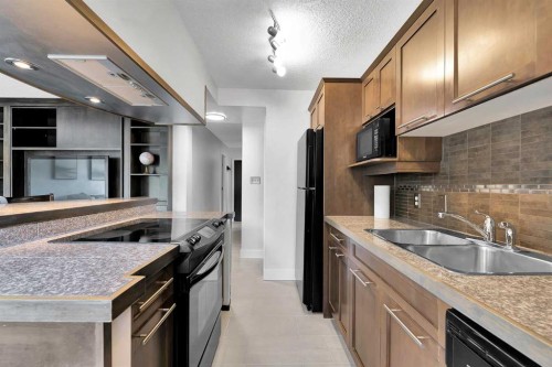 302-1730 7 Street, Calgary, AB - Indoor Photo Showing Kitchen With Double Sink