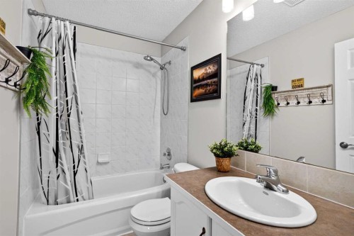 66 Canoe Close Sw, Airdrie, AB - Indoor Photo Showing Bathroom