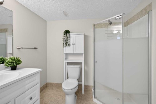 66 Canoe Close Sw, Airdrie, AB - Indoor Photo Showing Bathroom