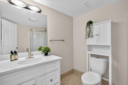 66 Canoe Close Sw, Airdrie, AB - Indoor Photo Showing Bathroom