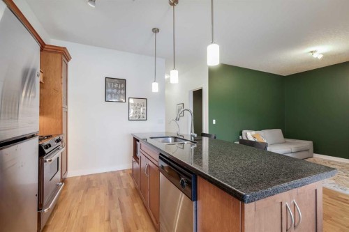 206-1818 14 Street Sw, Calgary, AB - Indoor Photo Showing Kitchen With Double Sink With Upgraded Kitchen
