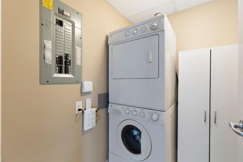 2444-2330 Fish Creek Boulevard Sw, Calgary, AB - Indoor Photo Showing Laundry Room