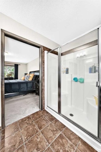 188 Hawkmere Way, Chestermere, AB - Indoor Photo Showing Bathroom