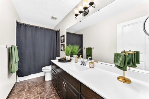 188 Hawkmere Way, Chestermere, AB - Indoor Photo Showing Bathroom