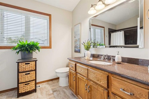 410 Millrise Drive Sw, Calgary, AB - Indoor Photo Showing Bathroom
