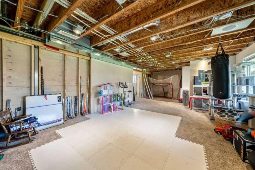 148 Rainbow Falls Glen, Chestermere, AB - Indoor Photo Showing Basement
