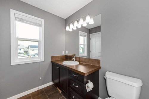 238 Skyview Point Road Ne, Calgary, AB 