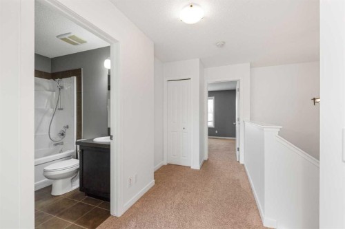 238 Skyview Point Road Ne, Calgary, AB 