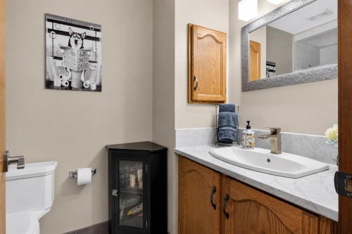 8 Erin Meadow Way Se, Calgary, AB - Indoor Photo Showing Bathroom