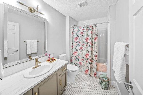 255 Gleneagles View, Cochrane, AB - Indoor Photo Showing Bathroom