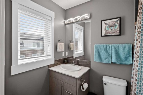 18-111 Rainbow Falls Gate, Chestermere, AB - Indoor Photo Showing Bathroom