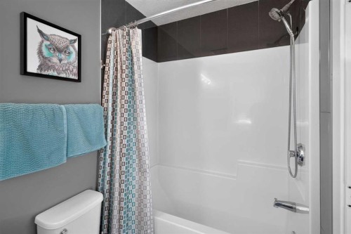 18-111 Rainbow Falls Gate, Chestermere, AB - Indoor Photo Showing Bathroom