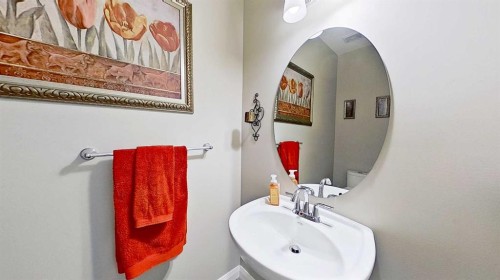 31 Ravenslea Crescent Se, Airdrie, AB - Indoor Photo Showing Bathroom