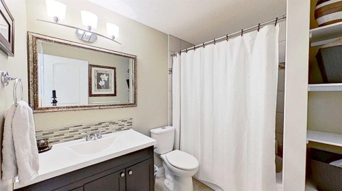 31 Ravenslea Crescent Se, Airdrie, AB - Indoor Photo Showing Bathroom