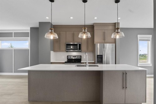 43-111 Rainbow Falls Gate, Chestermere, AB - Indoor Photo Showing Kitchen With Stainless Steel Kitchen With Upgraded Kitchen