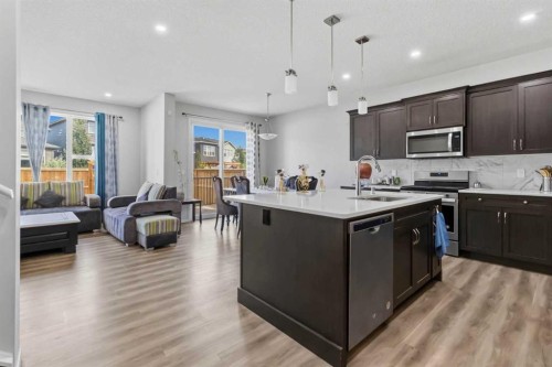 62 Wolf Hollow Way Se, Calgary, AB - Indoor Photo Showing Kitchen With Double Sink With Upgraded Kitchen