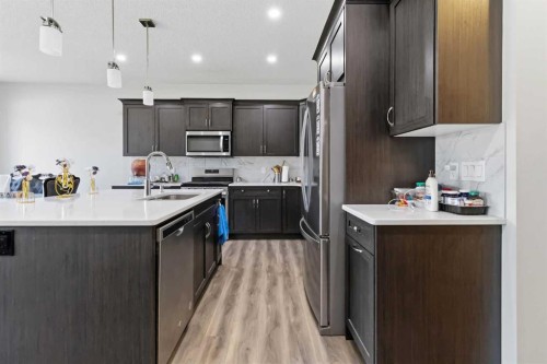 62 Wolf Hollow Way Se, Calgary, AB - Indoor Photo Showing Kitchen With Stainless Steel Kitchen With Upgraded Kitchen