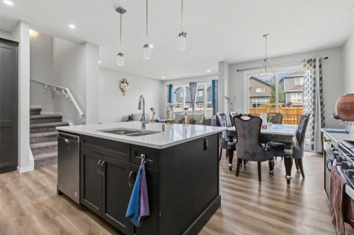 62 Wolf Hollow Way Se, Calgary, AB - Indoor Photo Showing Kitchen With Double Sink With Upgraded Kitchen