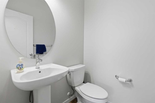 62 Wolf Hollow Way Se, Calgary, AB - Indoor Photo Showing Bathroom