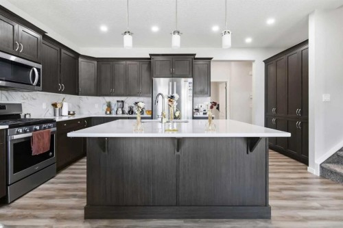 62 Wolf Hollow Way Se, Calgary, AB - Indoor Photo Showing Kitchen With Stainless Steel Kitchen With Upgraded Kitchen