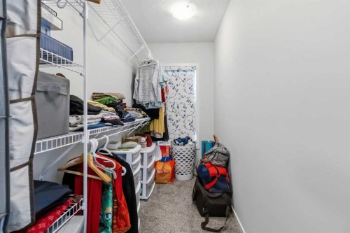 62 Wolf Hollow Way Se, Calgary, AB - Indoor With Storage
